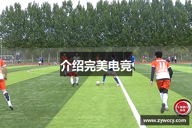 介绍完美电竞